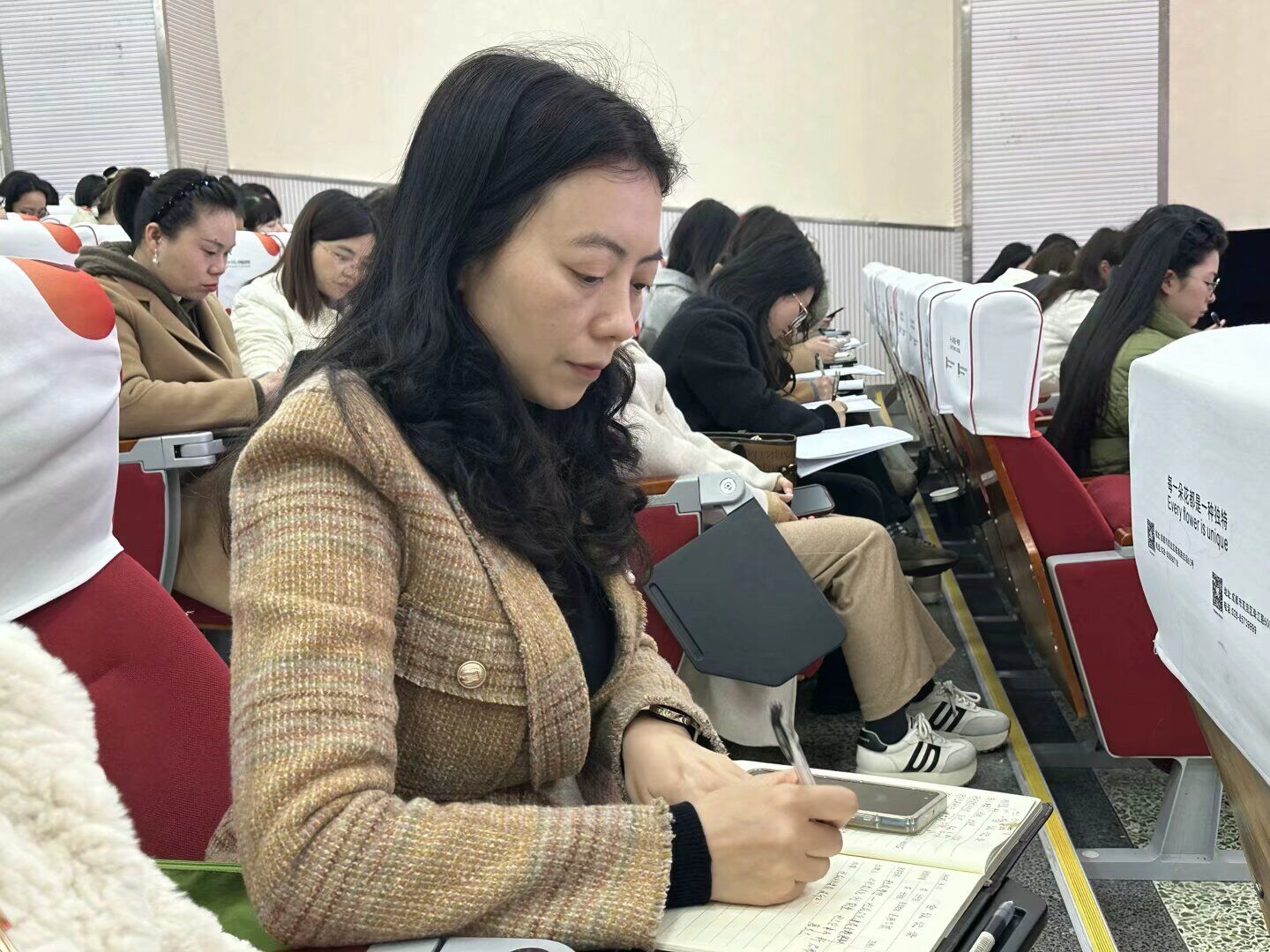 ueditor